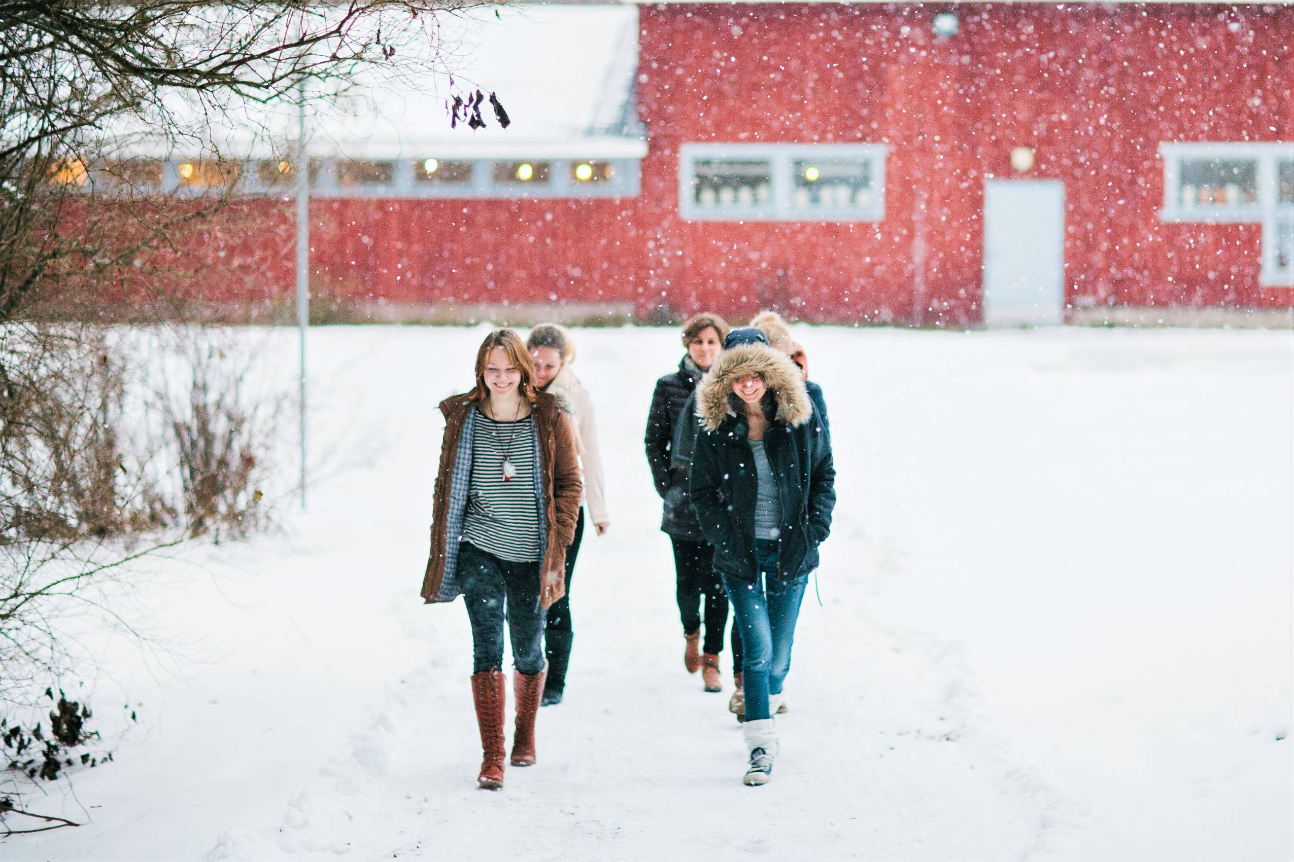 Kolme opiskelijaa ja opettaja kävelevät lumisessa maisemassa taidetalolta poispäin